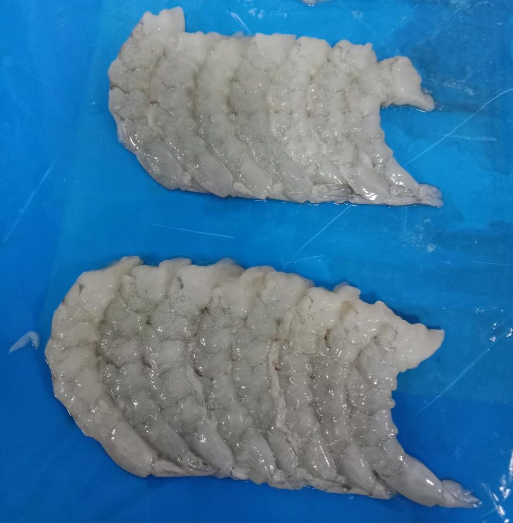 Amiri Seafood operations gallery photo