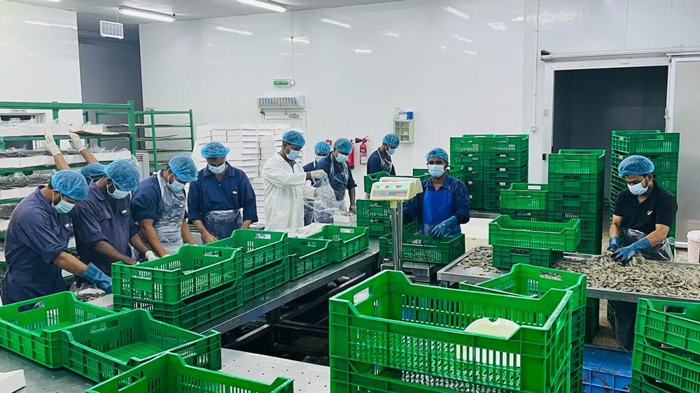 Amiri Seafood operations and product gallery photo 6