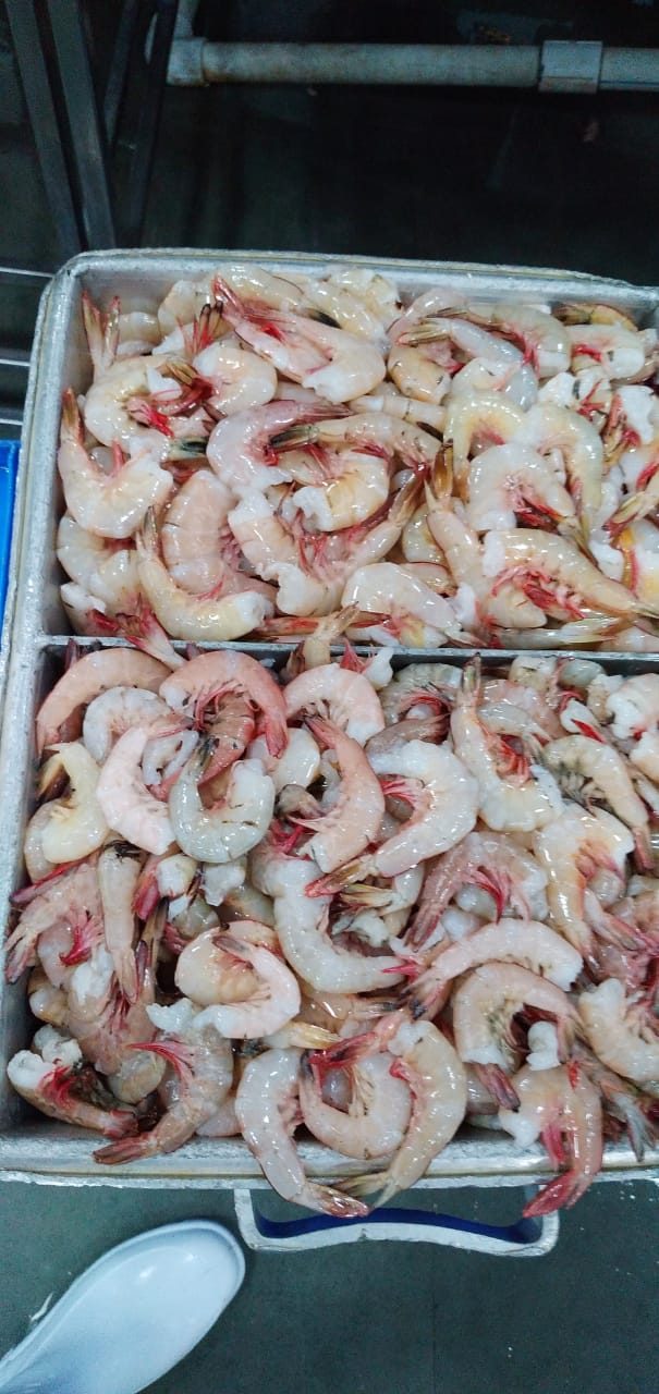 Amiri Seafood operations and product gallery photo 11