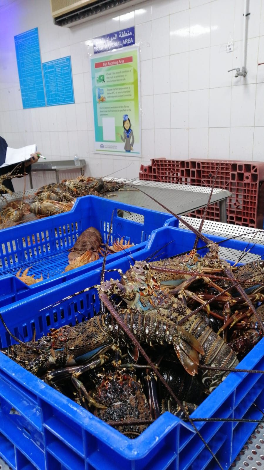 Amiri Seafood operations and product gallery photo 13