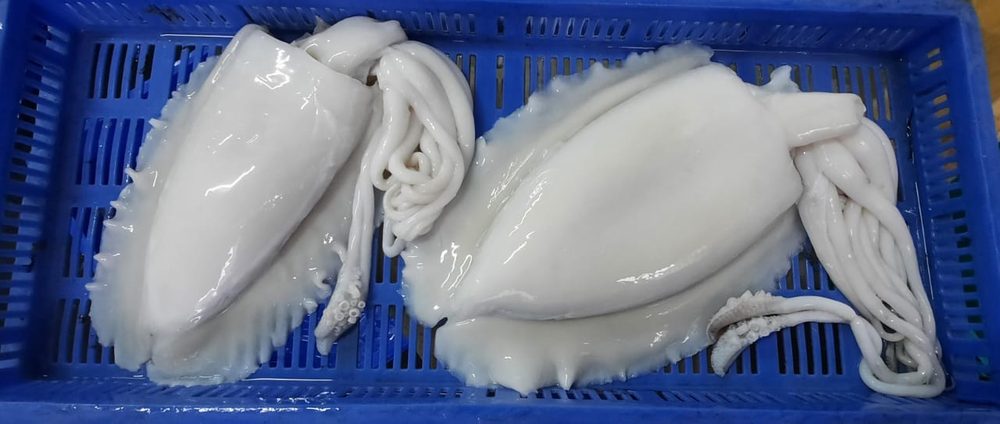 Amiri Seafood operations and product gallery photo 17