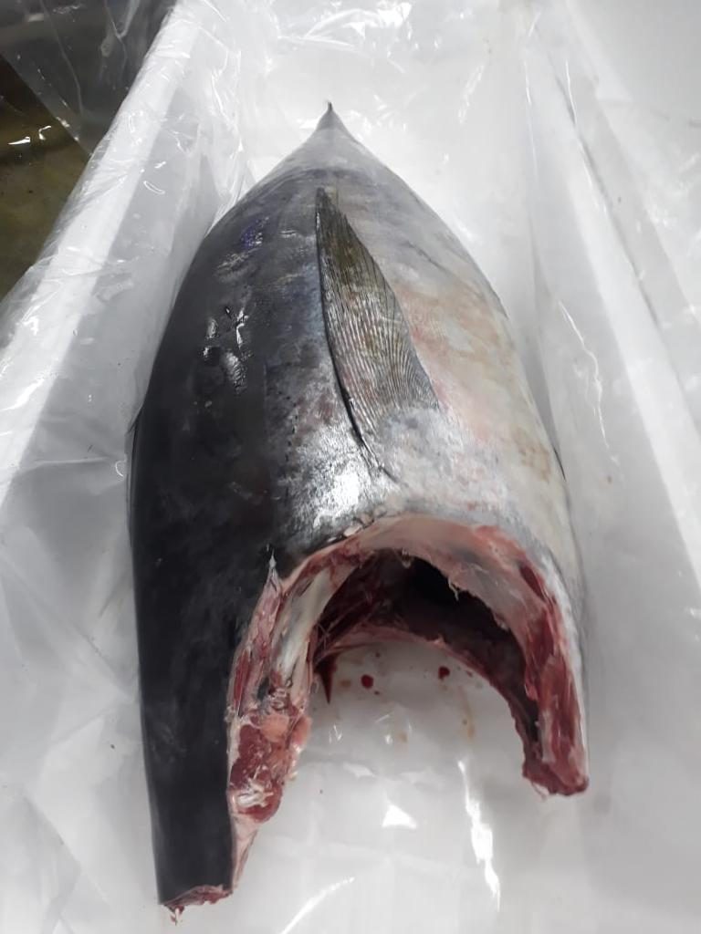 Amiri Seafood operations and product gallery photo 19