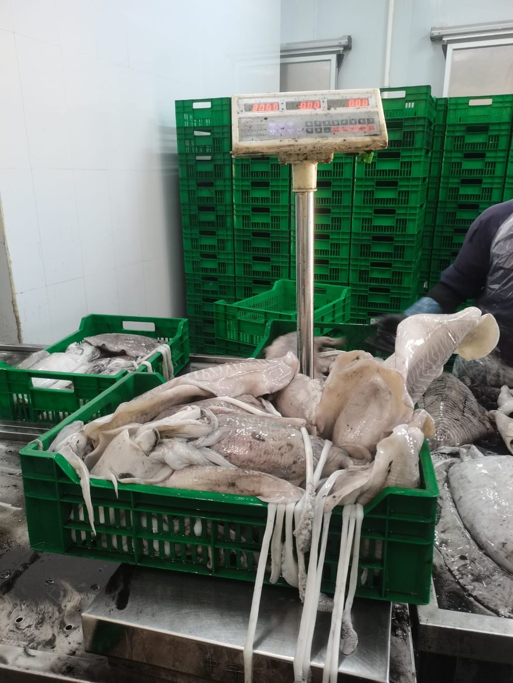 Amiri Seafood operations and product gallery photo 20