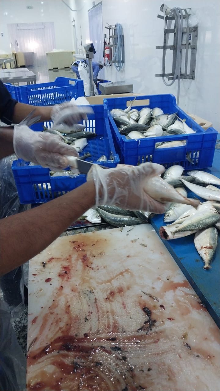Amiri Seafood operations and product gallery photo 21