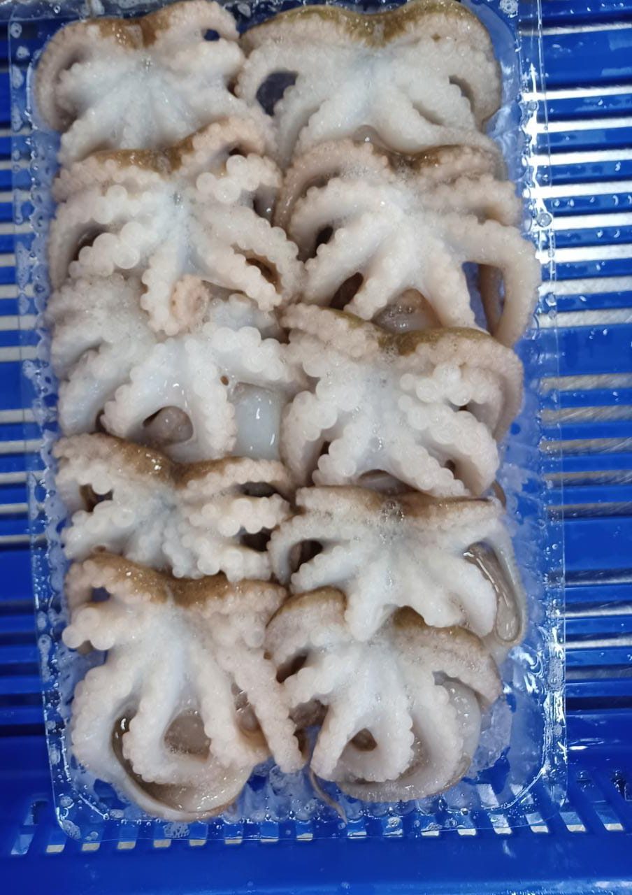 Amiri Seafood operations and product gallery photo 22
