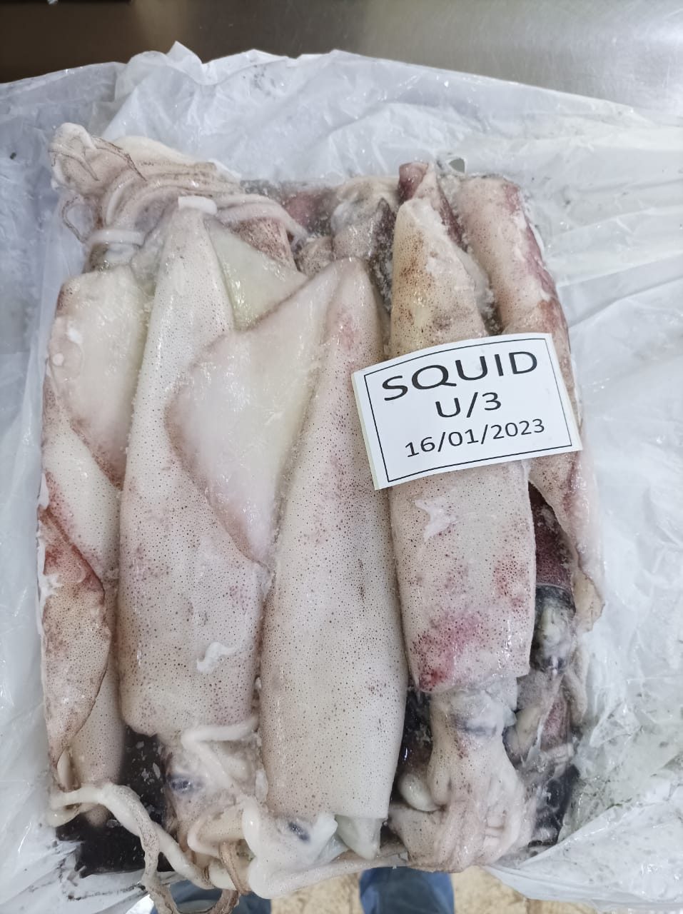 Amiri Seafood operations and product gallery photo 26