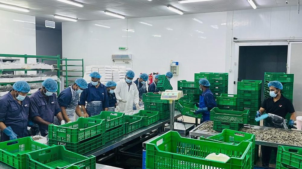 Amiri Seafood operations and product gallery photo 27