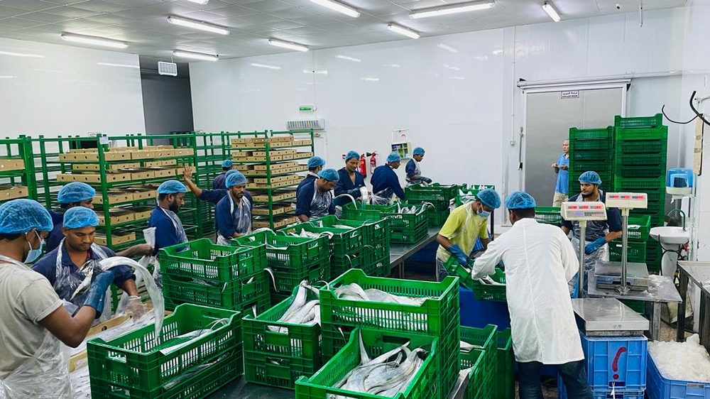 Amiri Seafood operations and product gallery photo 30