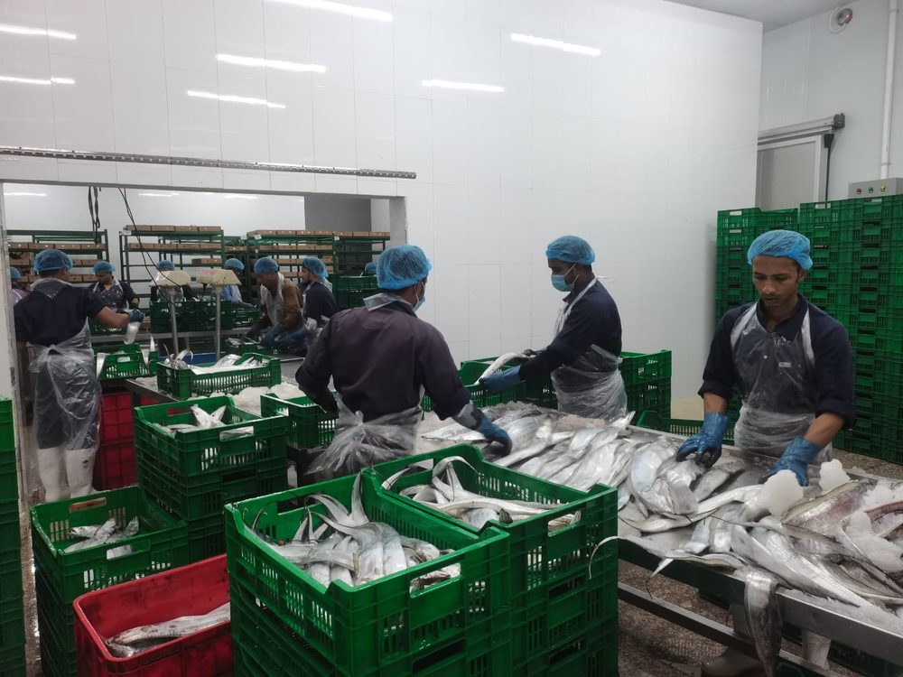 Amiri Seafood operations and product gallery photo 34