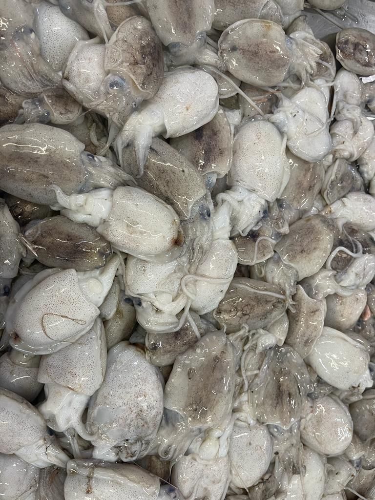 Amiri Seafood operations and product gallery photo 36