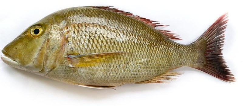 EMPEROR - frozen seafood from Amiri Seafood